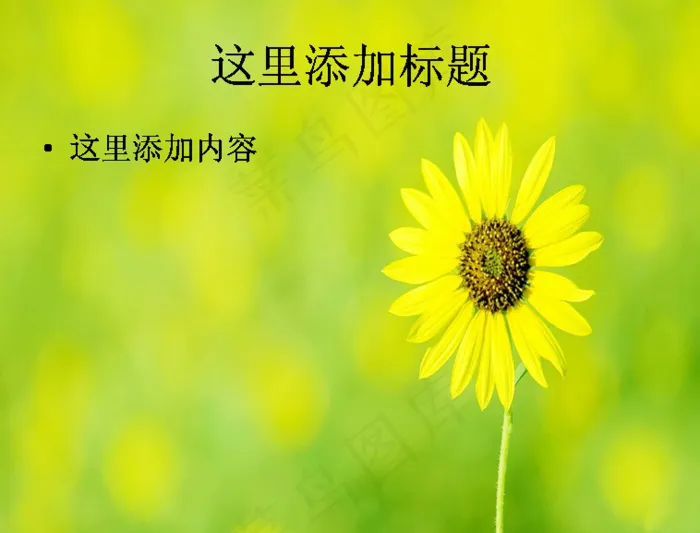甘菊与露珠的完美结合ppt封面(...