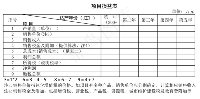 项目损益表