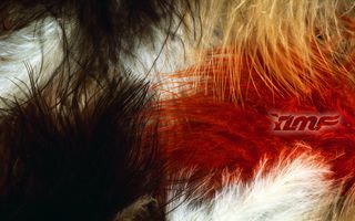 高清电脑桌面背景壁纸