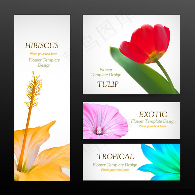 潮流鲜花花卡矢量素材
