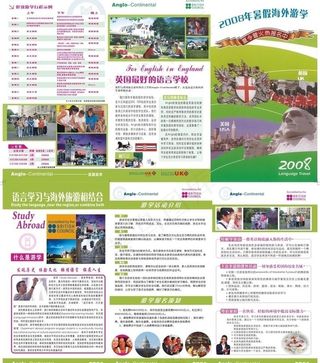 招生三折页图片