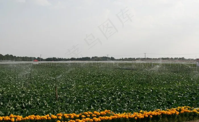 农业节水图片