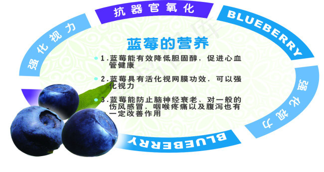 水果吊牌cdr矢量模版下载