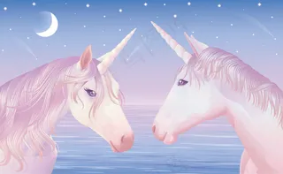 独角兽的剪辑艺术