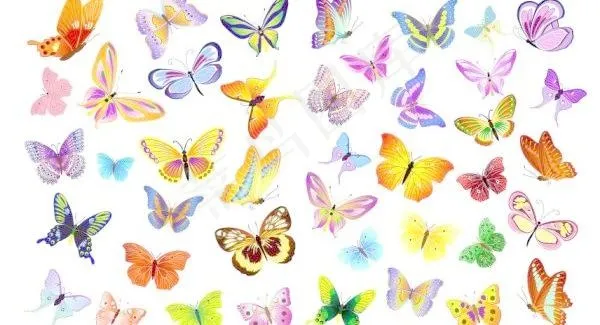 蝴蝶矢量素材(4961X3508(DPI:300))psd模版下载