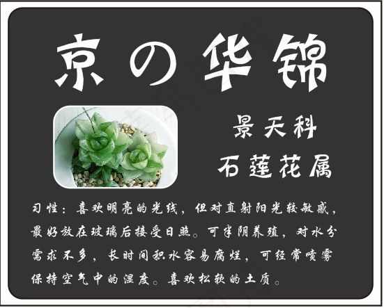 多肉植物图谱cdr矢量模版下载