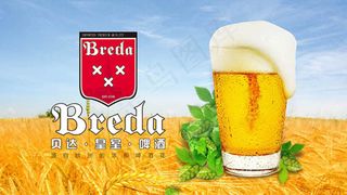 贝达皇室啤酒创意广告海报设计