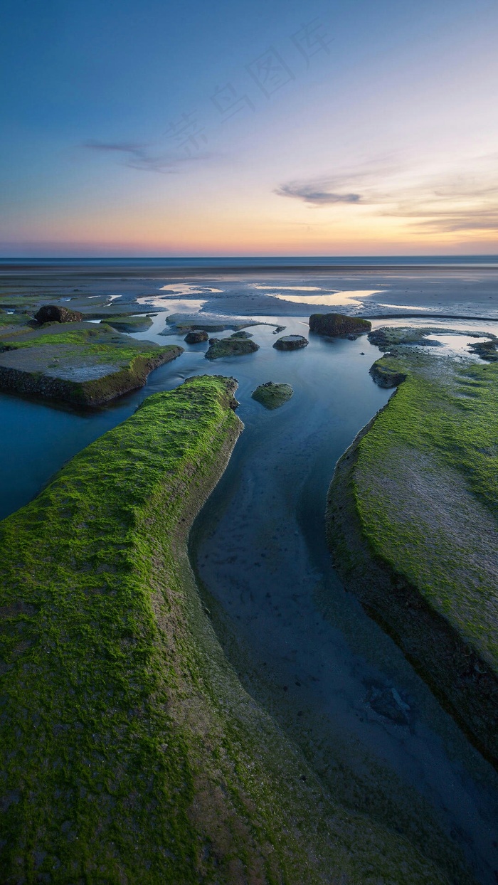 沼泽高清摄影图片