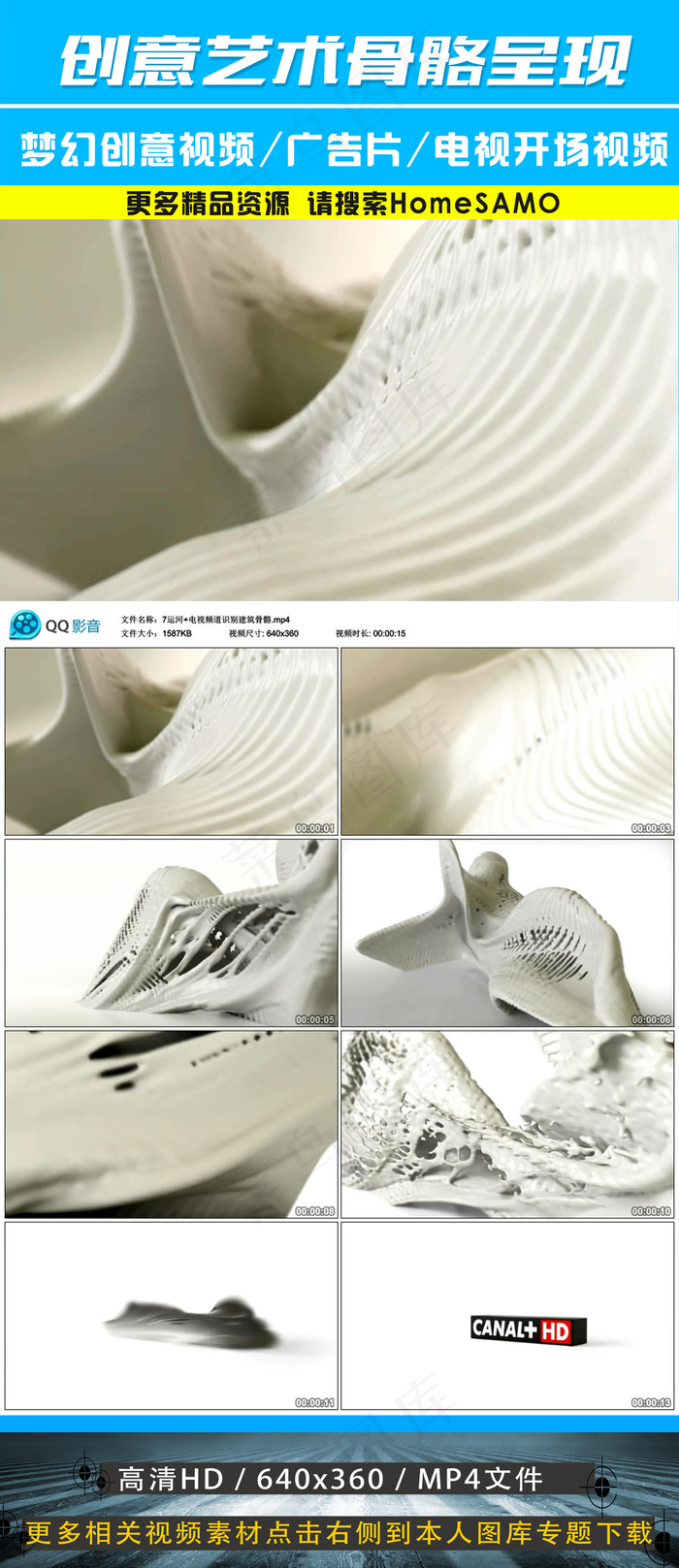 国外创意艺术骨骼呈现三维动画视频