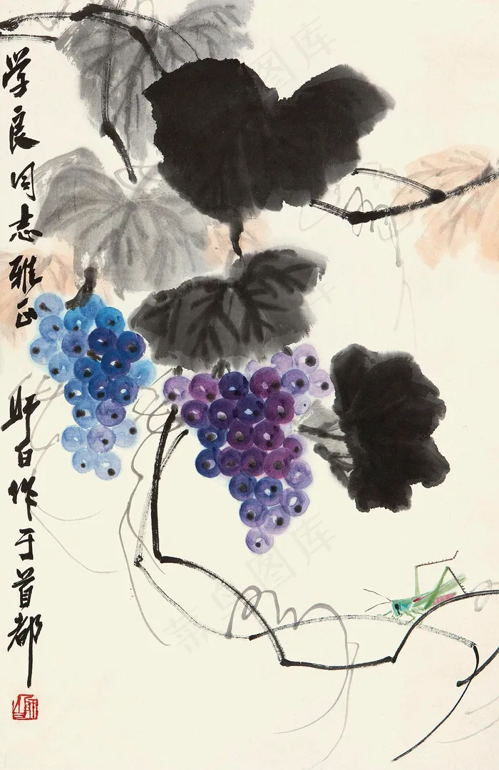 草虫葡萄图片