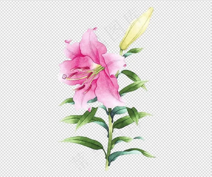唯美免扣手绘花朵叶子树叶背景墙素材...
