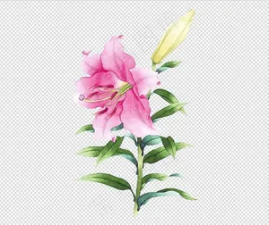 唯美免扣手绘花朵叶子树叶背景墙素材...