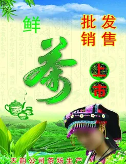天韵茶场图片