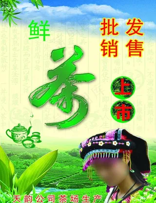 天韵茶场图片