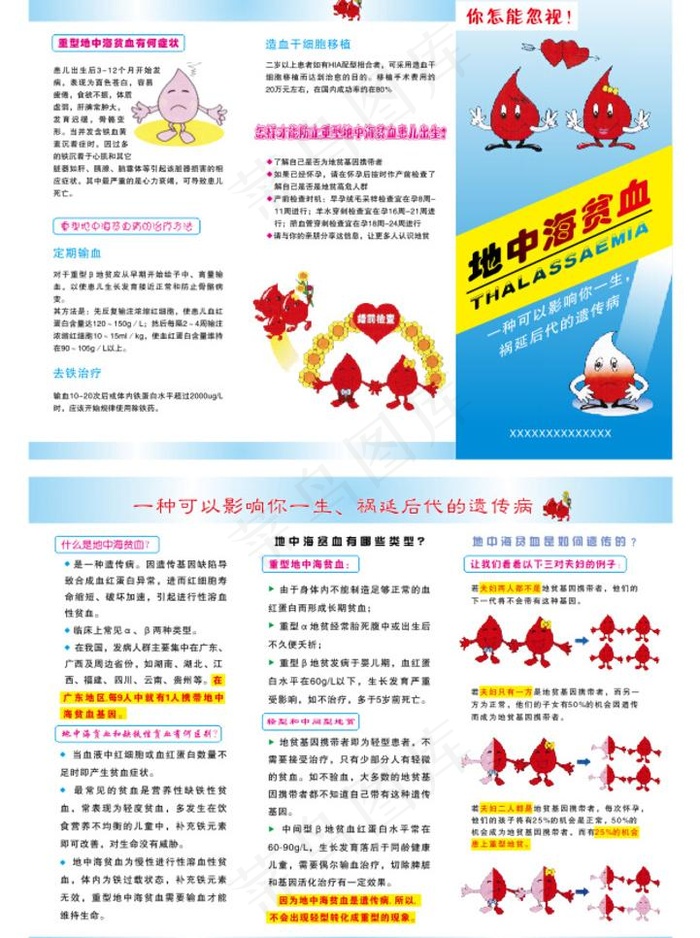 地中海贫血三折页cdr矢量模版下载