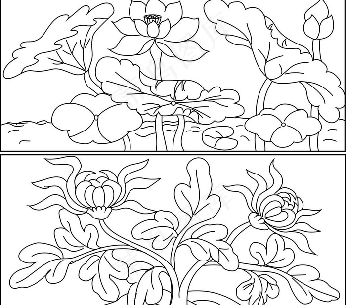 荷花和菊花图片