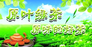 原叶绿茶素材下载 原叶绿茶模板下载