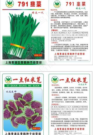 韭菜 一点红米苋图片