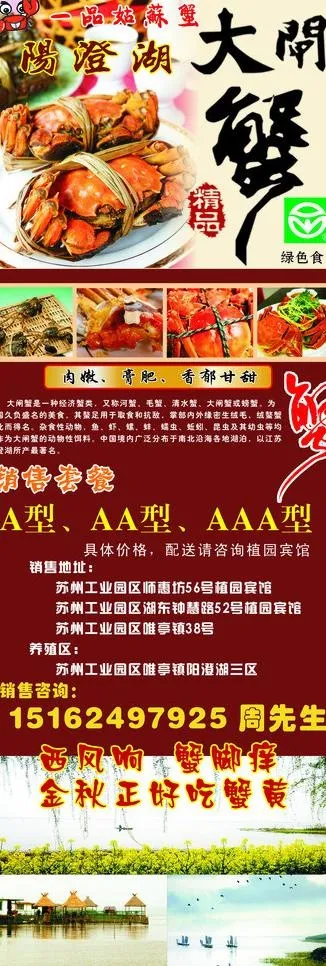 x展架 大闸蟹图片cdr矢量模版下载