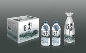 6分子 茶道包装(效果图)图片