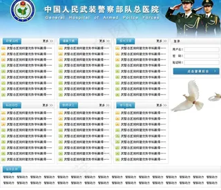 武警总医院方案2首页设计图片