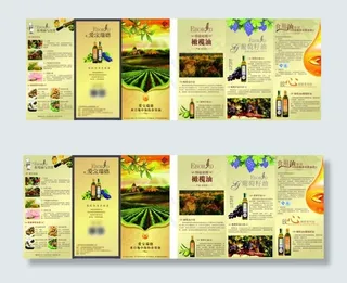 健康食用油DM三折页