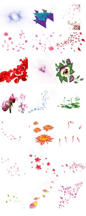 多款花瓣透明PNG免抠素材