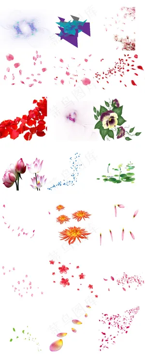多款花瓣透明PNG免抠素材 多款花瓣透明PNG免抠素材