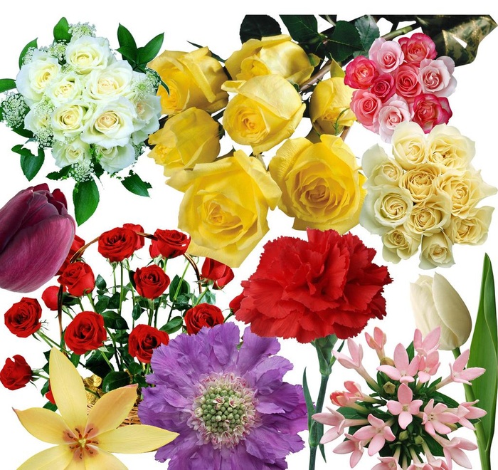 扣好的百花图1图片psd模版下载