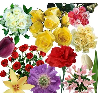 扣好的百花图1图片 扣好的百花图1图片