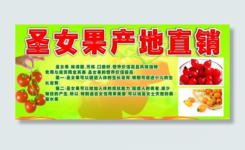 圣女果产地直销海报图片cdr矢量模版下载