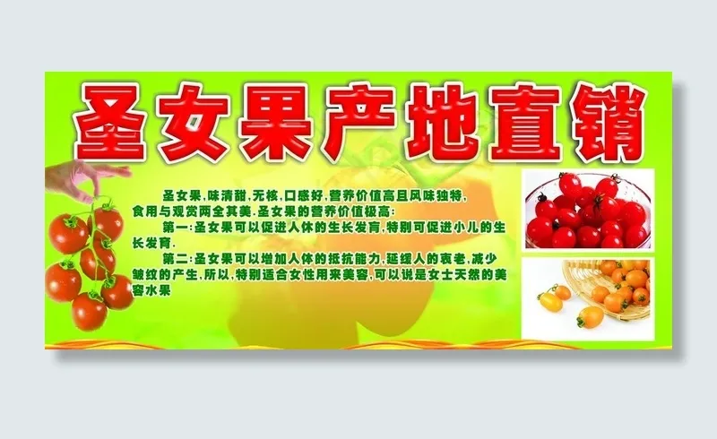 圣女果产地直销海报图片cdr矢量模版下载