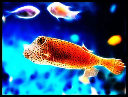 u6d77u5e95u4e16u754cu56feu7247