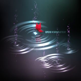 矢量蝴蝶亲吻的涟漪