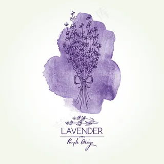 欧式水彩植物插画矢量