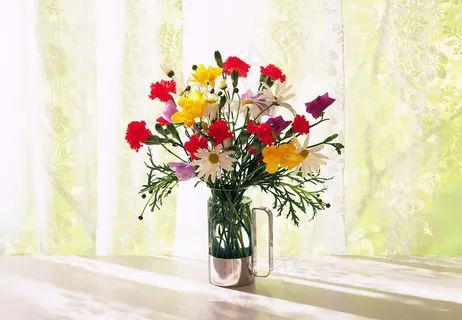 美丽花卉图片 美丽花卉图片