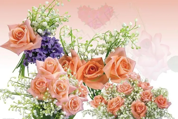 玫瑰花束图片