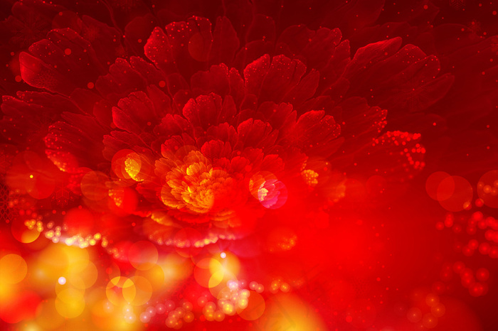 绚丽红色花底纹(6378X4252(DPI:27))psd模版下载
