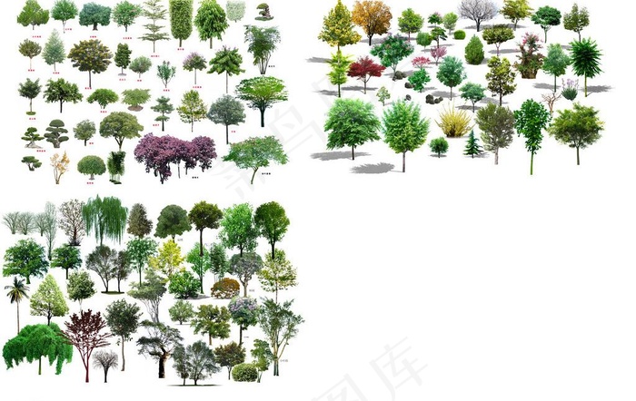 园林绿化植物树木图片(6890X4746(DPI:350))psd模版下载