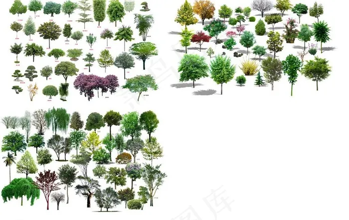 园林绿化植物树木图片(6890X4746(DPI:350))psd模版下载
