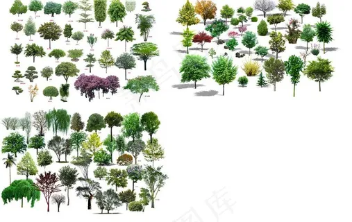 园林绿化植物树木图片