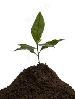 泥土种子环保素材