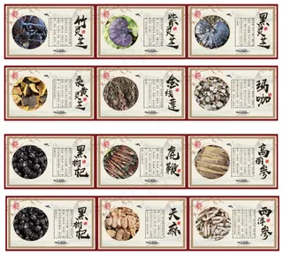 中药 灵芝 人参 铁皮石斛 金线莲 玛卡 药材