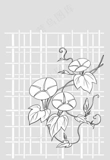 矢量线绘制flowers-26（牵...