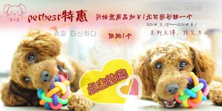 淘宝宠物玩具促销海报模板