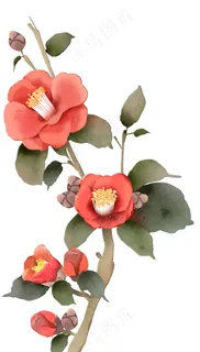 红色鲜花 手绘鲜花 红色鲜花 手绘鲜花