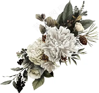 国画鲜花图片 国画鲜花图片