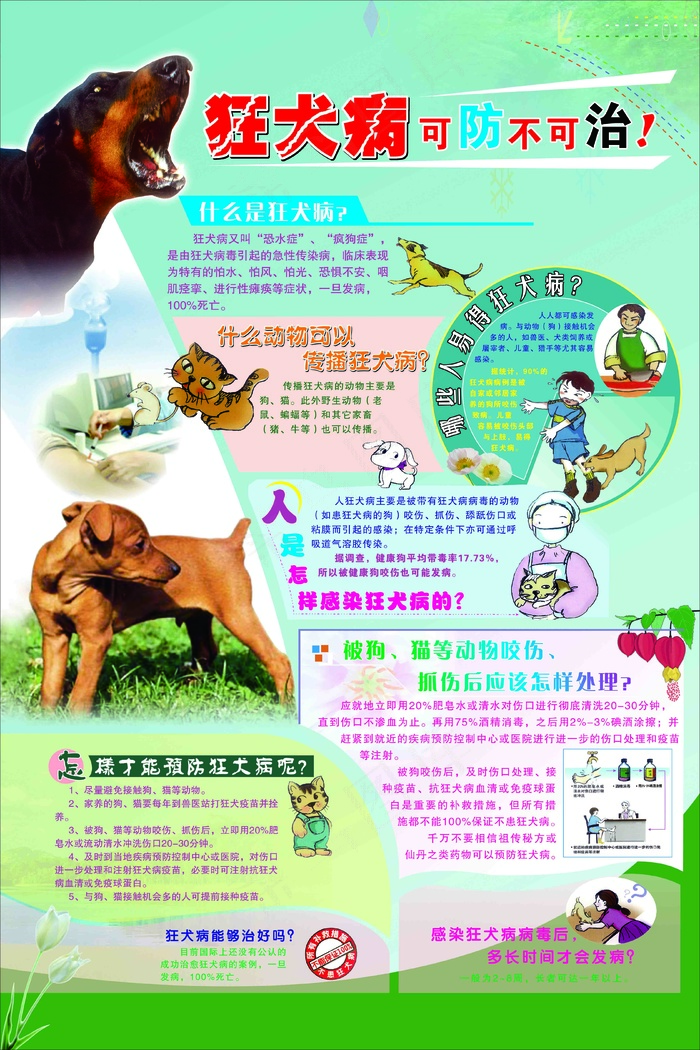 狂太病可防不可治psd模版下载