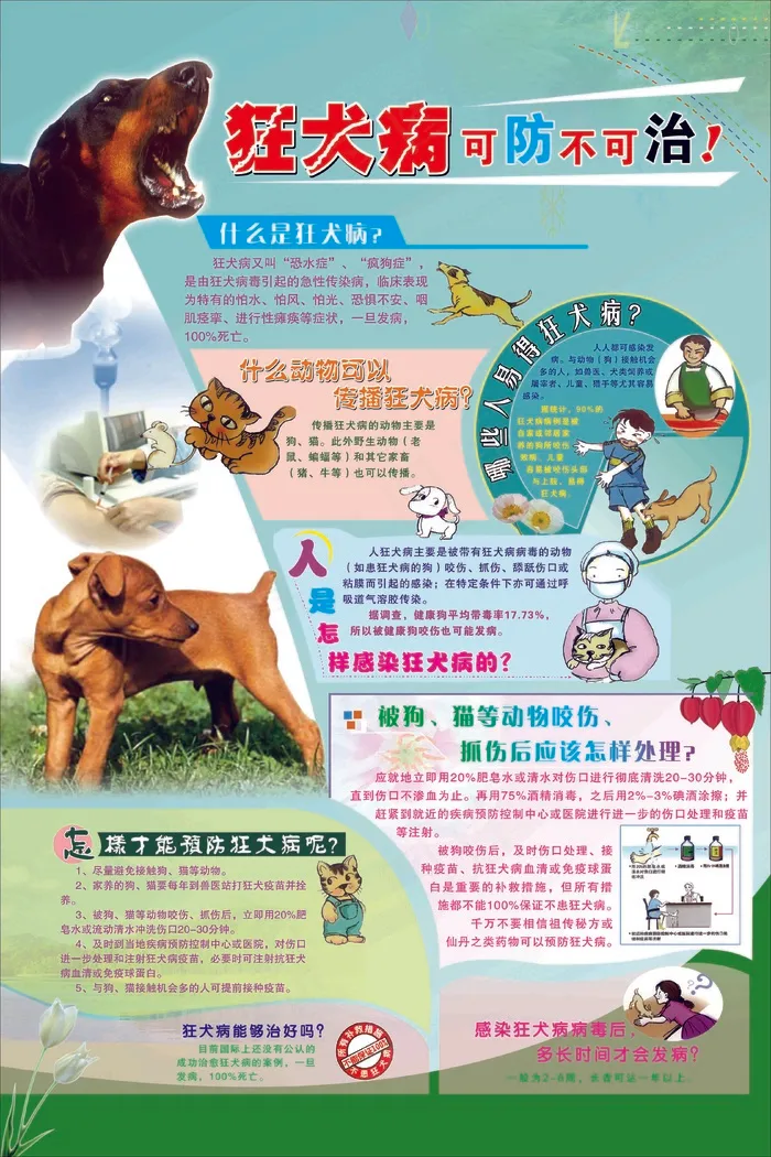 狂太病可防不可治psd模版下载