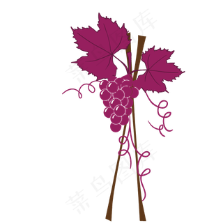 葡萄矢量图